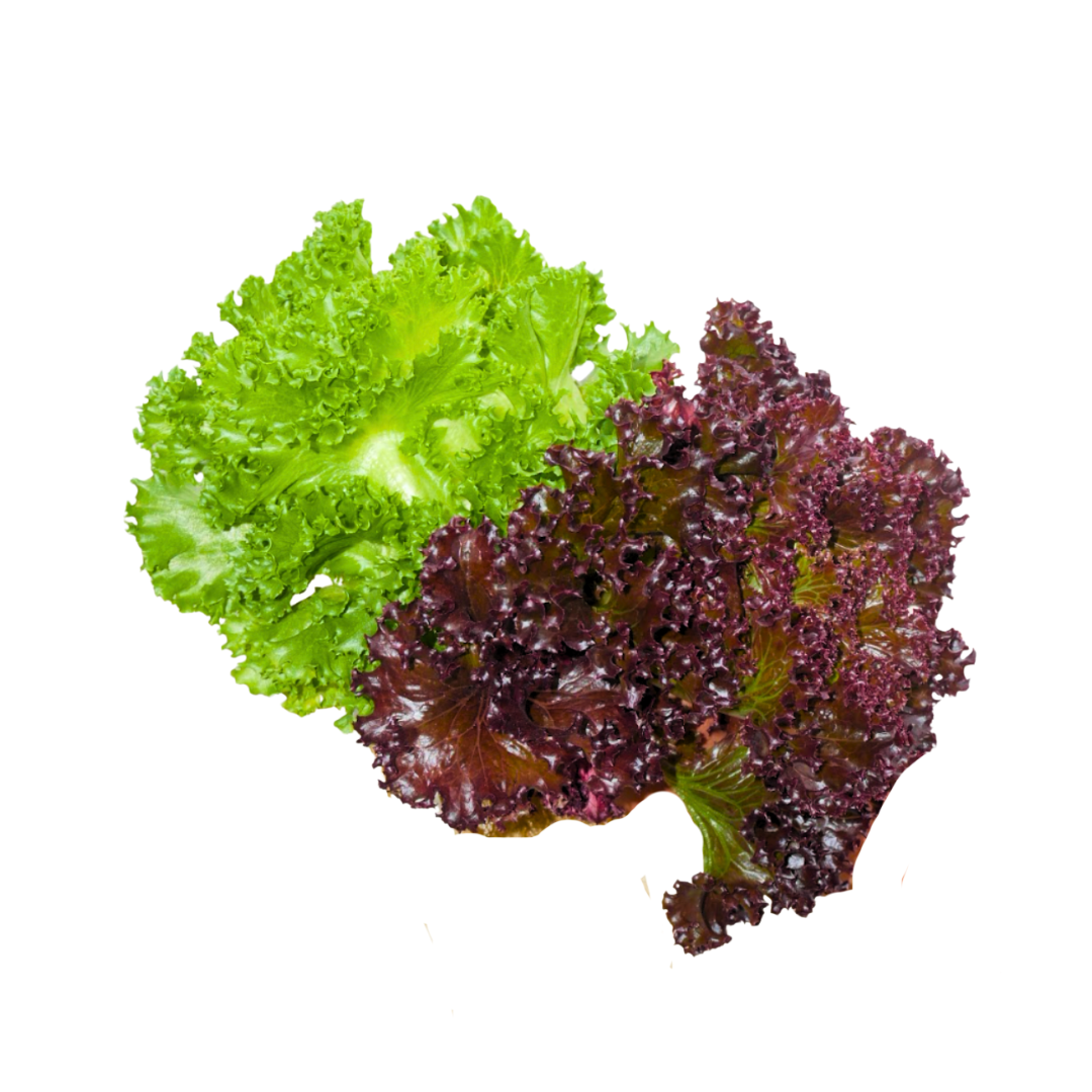 More Veggies Please Crystal Lettuce 180g